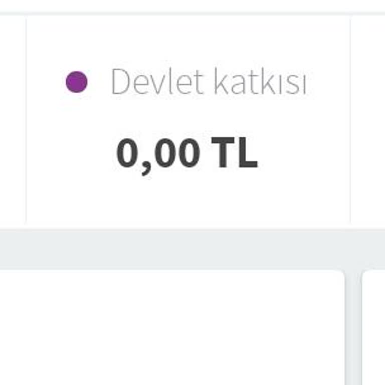 Devlet Katkısı Görünmüyor: Ulaşılabilirlik Ve Bilgilendirme Eksikliği