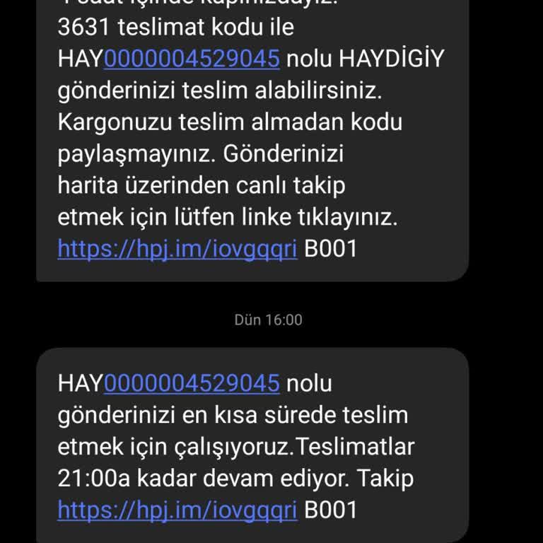 Teslim Edilmeyen Paket, Bitmeyen Bekleyiş