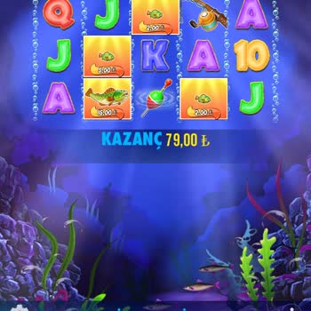 Hesabımın İnaktif Olması Ve Destek Eksikliği