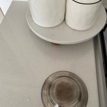 Karaca Juliet Çaydanlıkta İlk Günden Sararma Sorunu!