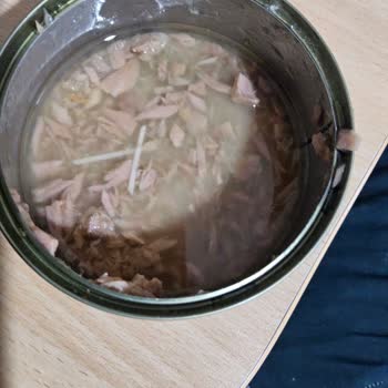 N11 Konserve Ton Balığında Plastik Benzeri Cisimler