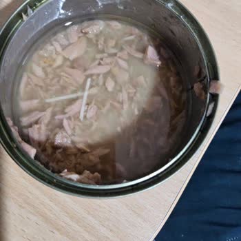 Kalite Tonla Konserve Ton Balığında Plastik Benzeri Cisimler