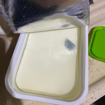 BİM'den Alınan Peynirde Küf Sorunu