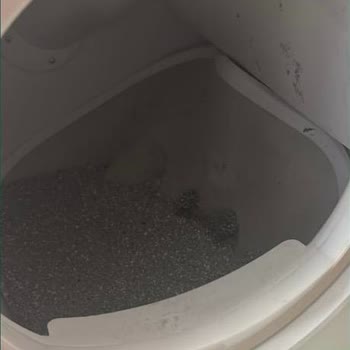 Xenon Smart Akıllı Kedi Tuvaleti Hayal Kırıklığı