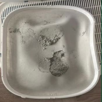 Xenon Smart Akıllı Kedi Tuvaleti Hayal Kırıklığı