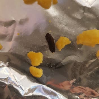 Çerezza Cips İçinden Çıkan Şok Edici Sürpriz