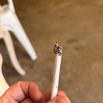 Parliament Sigaralarında Ahşap Benzeri Maddeler