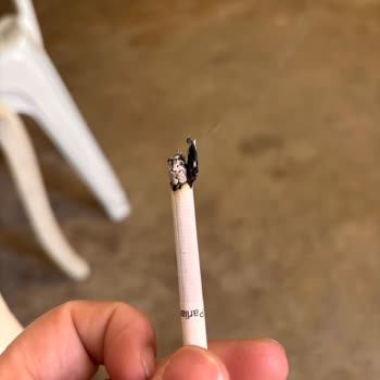 Parliament Sigaralarında Ahşap Benzeri Maddeler