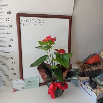 Çiçek Sepeti Yanıltıcı Çiçek Teslimatı!