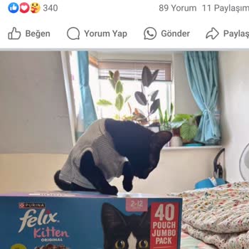 Facebook Üzerinden Yapılan Yasa Dışı Purina İşlemi