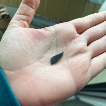 Servis Sürecinde Kırılan Ürün Ve İlgisizlik