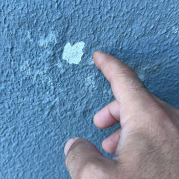 Özçiçek İnşaat Ev Zeminden Ve Duvarlardan Su Geçiriyor