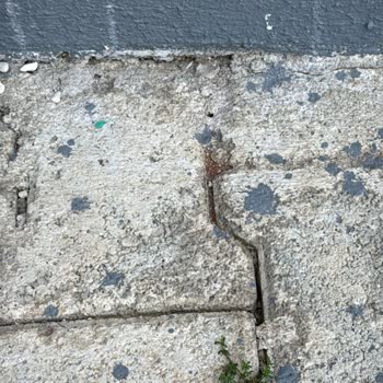 Özçiçek İnşaat Ev Zeminden Ve Duvarlardan Su Geçiriyor