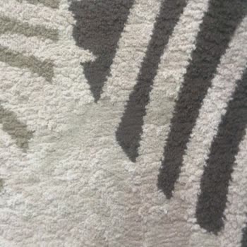 Halı Temizliğinde Hüsran: Param Çöpe Gitti!