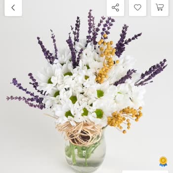 Sipariş Onayı Kaçırıldı: Yanıltıcı Ürün Ve Eksik Adet Şoku