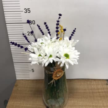 Sipariş Onayı Kaçırıldı: Yanıltıcı Ürün Ve Eksik Adet Şoku