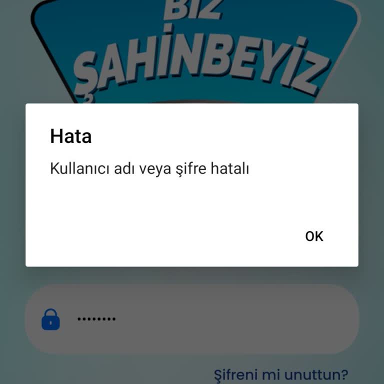 Şahinbeyiz Uygulamasında E-Posta Unutma Sorunu