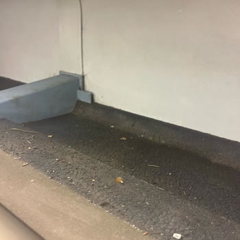 SSC Tur İle Kâbus Gibi Kapadokya Turu Deneyimi