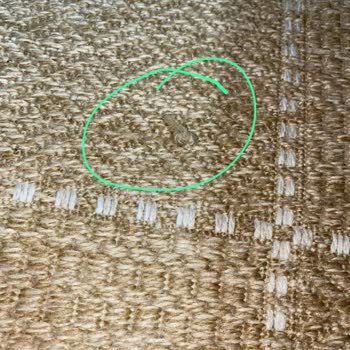 Evkur Mağazasından Alınan Halıda Dikiş Problemi Ve Yetersiz Servis Desteği