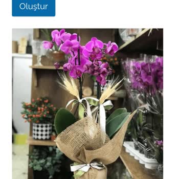 Yanıt Alınamayan Çiçek Siparişi Sorunu