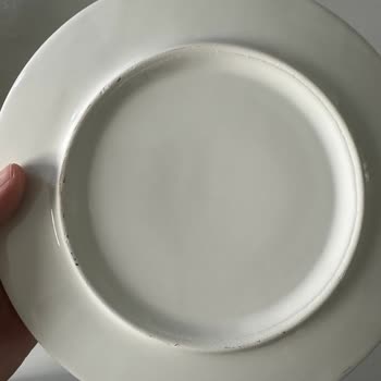 Hatalı Ürün Ve Kötü Müşteri Hizmeti: Hayal Kırıklığı Yaşadım