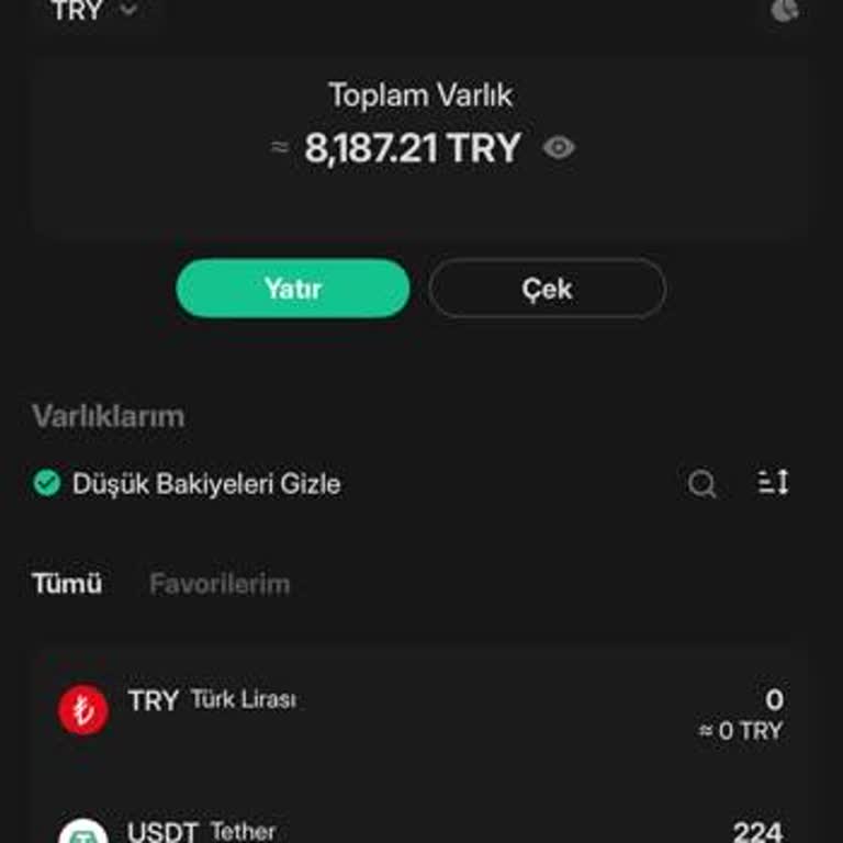 Kimlik Doğrulama Krizi: Hesap Kapatma Ve İletişim Sorunu