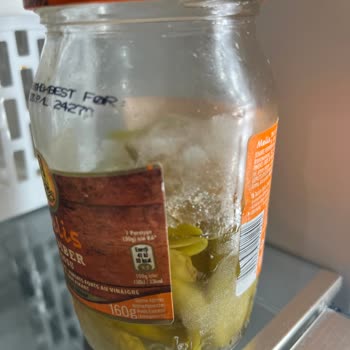 Siemens Buzdolabı Alarmı Ve Servis Sorunları: 15 Günlük Çile