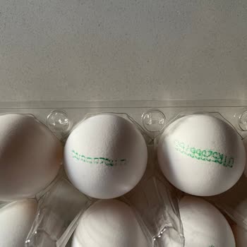 Tarım Kredi Kooperatif Market Organik Yumurta Skandalı