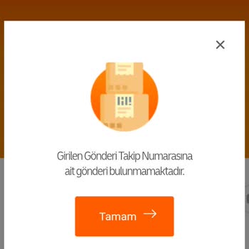 Kayıp Kargo: Takip Numarası Var, Kargo Yok!