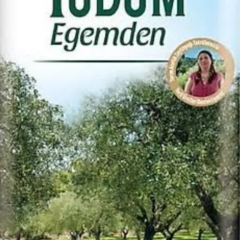 Güvenilir Yudum Zeytinyağında Beklenmedik Tat Ve Renk Sorunu