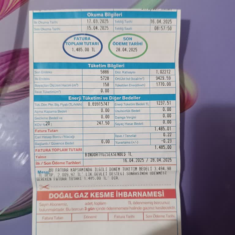 Devlet Desteği Ve Fatura Yanıltmacası