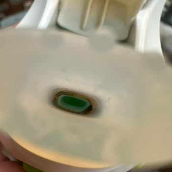 Contigo Sulukta Küflenme Sorunu