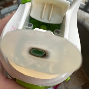 Contigo Sulukta Küflenme Sorunu