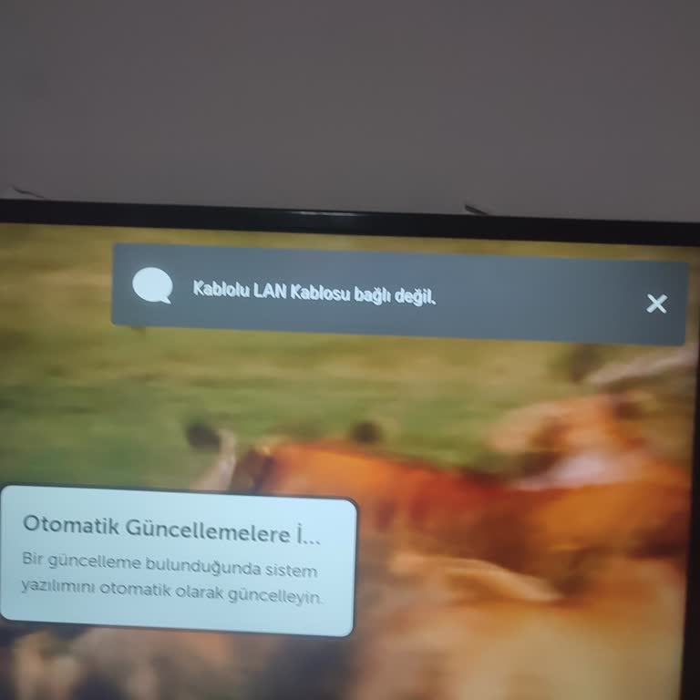 LG 49UH610V LED TV İle Süregelen Bağlantı Ve Teknik Sorunlar
