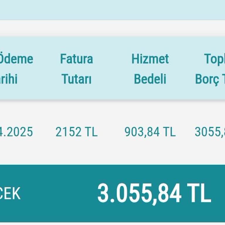 Devlet Desteği Mağduriyeti: Yüksek Faturalar
