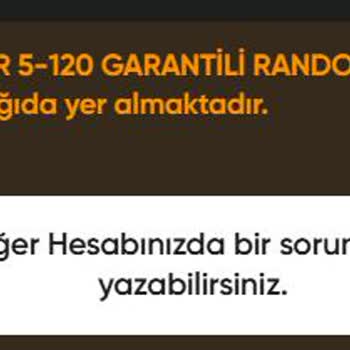 Valorant Hesap Askıya Alınmış