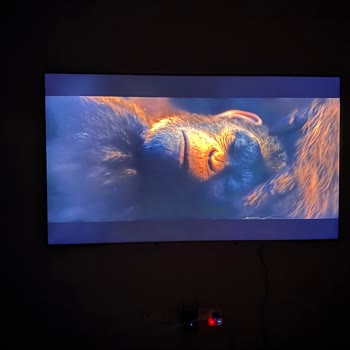 Samsung TV'de Işık Sızıntısı Ve Bulutlanma Sorunu