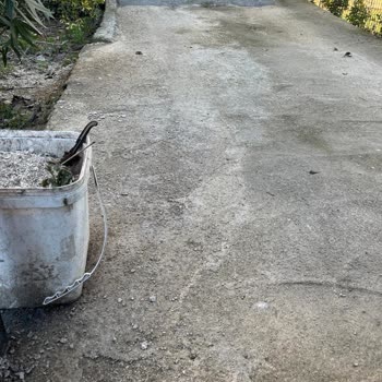Belediyenin Tuz Kullanımı Evime Zarar Verdi