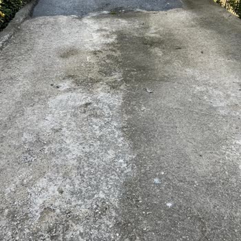Belediyenin Tuz Kullanımı Evime Zarar Verdi