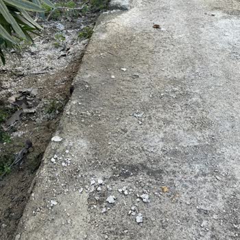 Belediyenin Tuz Kullanımı Evime Zarar Verdi