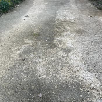 Belediyenin Tuz Kullanımı Evime Zarar Verdi