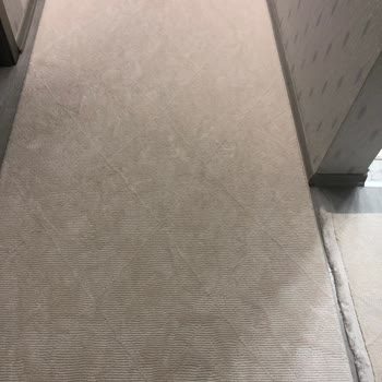 Halıda Yanıltıcı Temizlik Ve Renk Sorunları