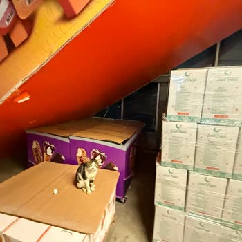 Merter 3M Migros'ta Hijyen Ve Düzensizlik Sorunları