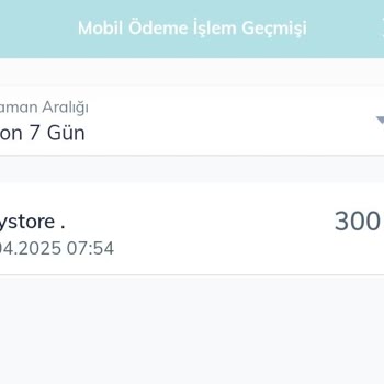 Ödeme Yapıldı, Oyun Kodu Teslim Edilmedi: Müşteri Hizmetlerinden Cevap Bekleniyor