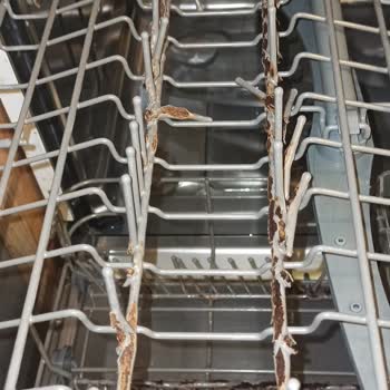 Franke Bulaşık Makinesi Hayal Kırıklığı: Küflenme Ve Paslanma Sorunu