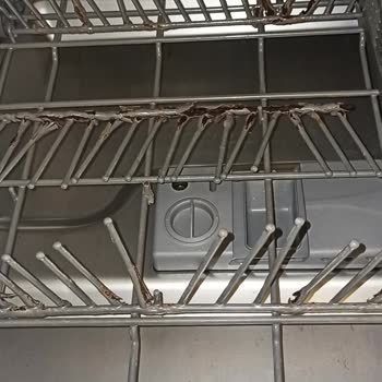 Franke Bulaşık Makinesi Hayal Kırıklığı: Küflenme Ve Paslanma Sorunu