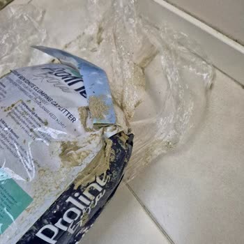 Patlak Ve Kirli Kedi Kumu Şoku