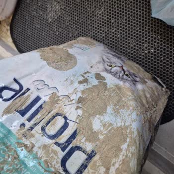 Patlak Ve Kirli Kedi Kumu Şoku