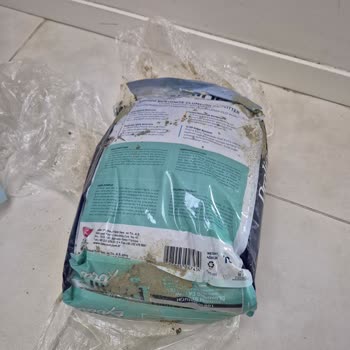 Patlak Ve Kirli Kedi Kumu Şoku