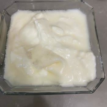 Bozuk Yoğurt Ve İade Sorunu